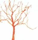 Как нарисовать дерево соломинкой