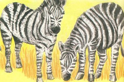 Рисуем зебру восковым карандашом