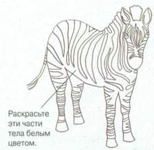 Рисуем зебру восковым карандашом