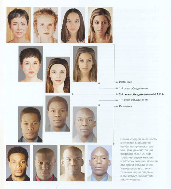 Эффект среднего типа лица (Most average facial appearance effect)