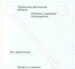 Диаграмма Гутенберга (Gutenberg diagram)
